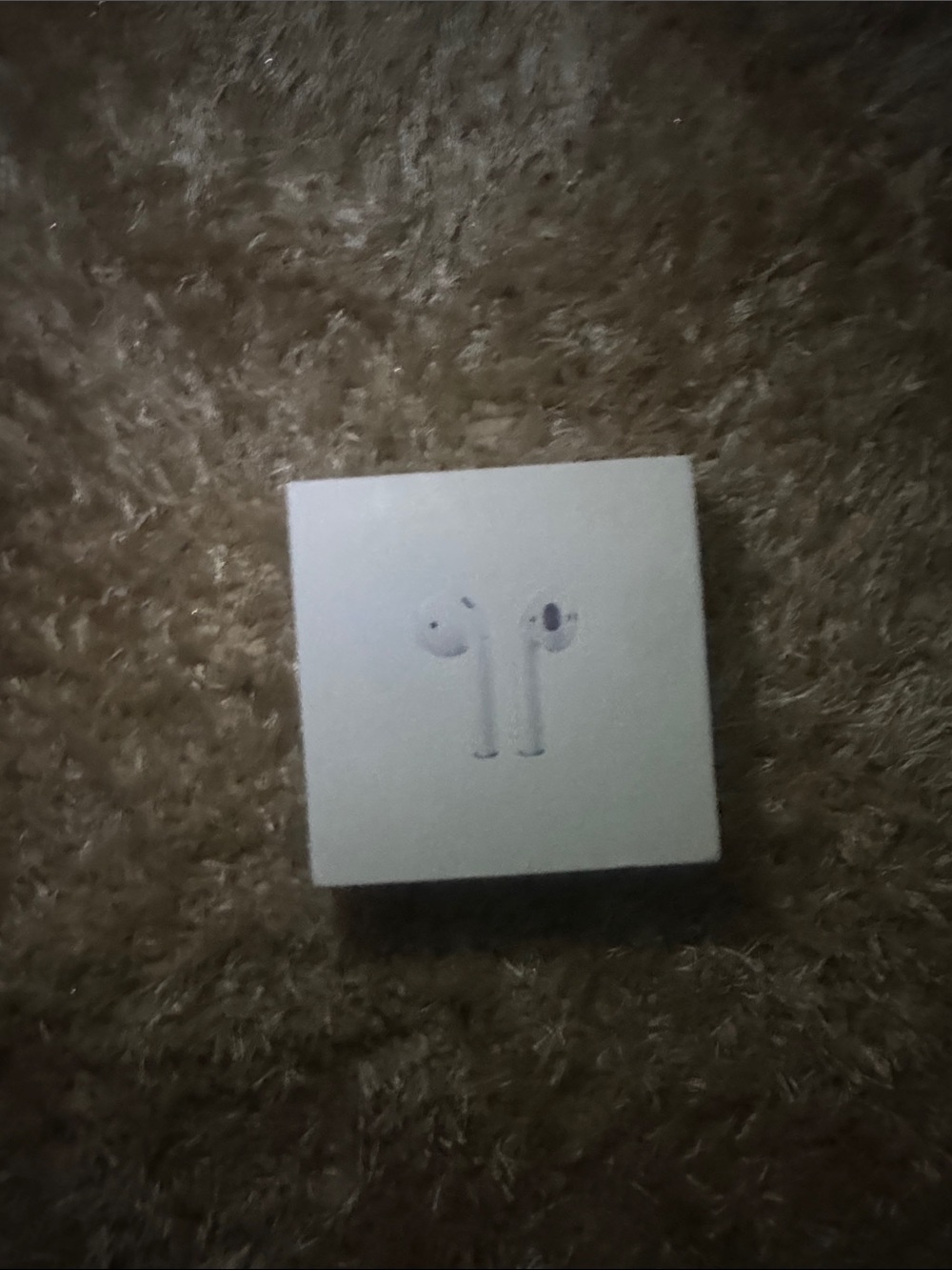 Apple White Earbud Headphones with Charging Case